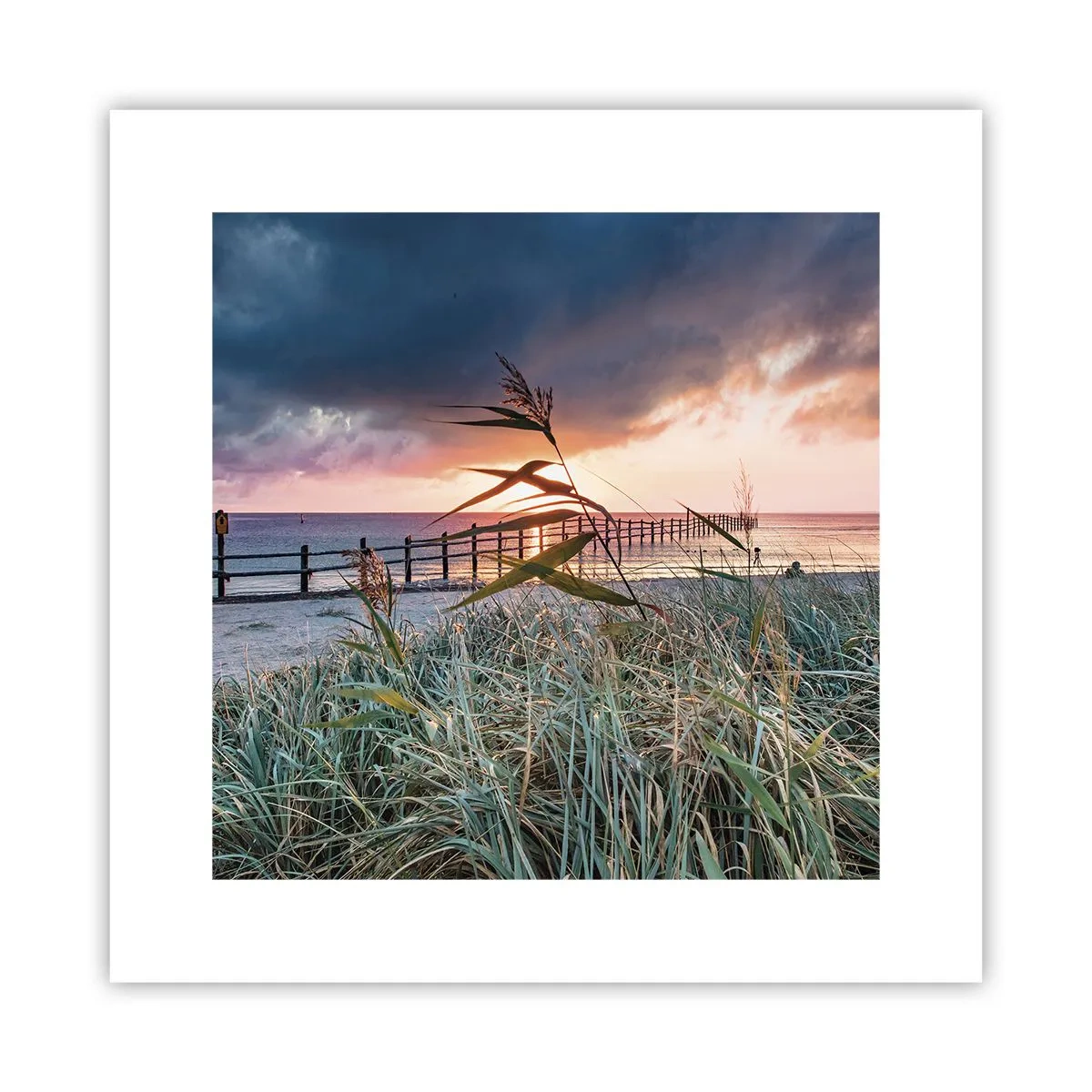 Póster - Bailando con el viento - 30x30 cm