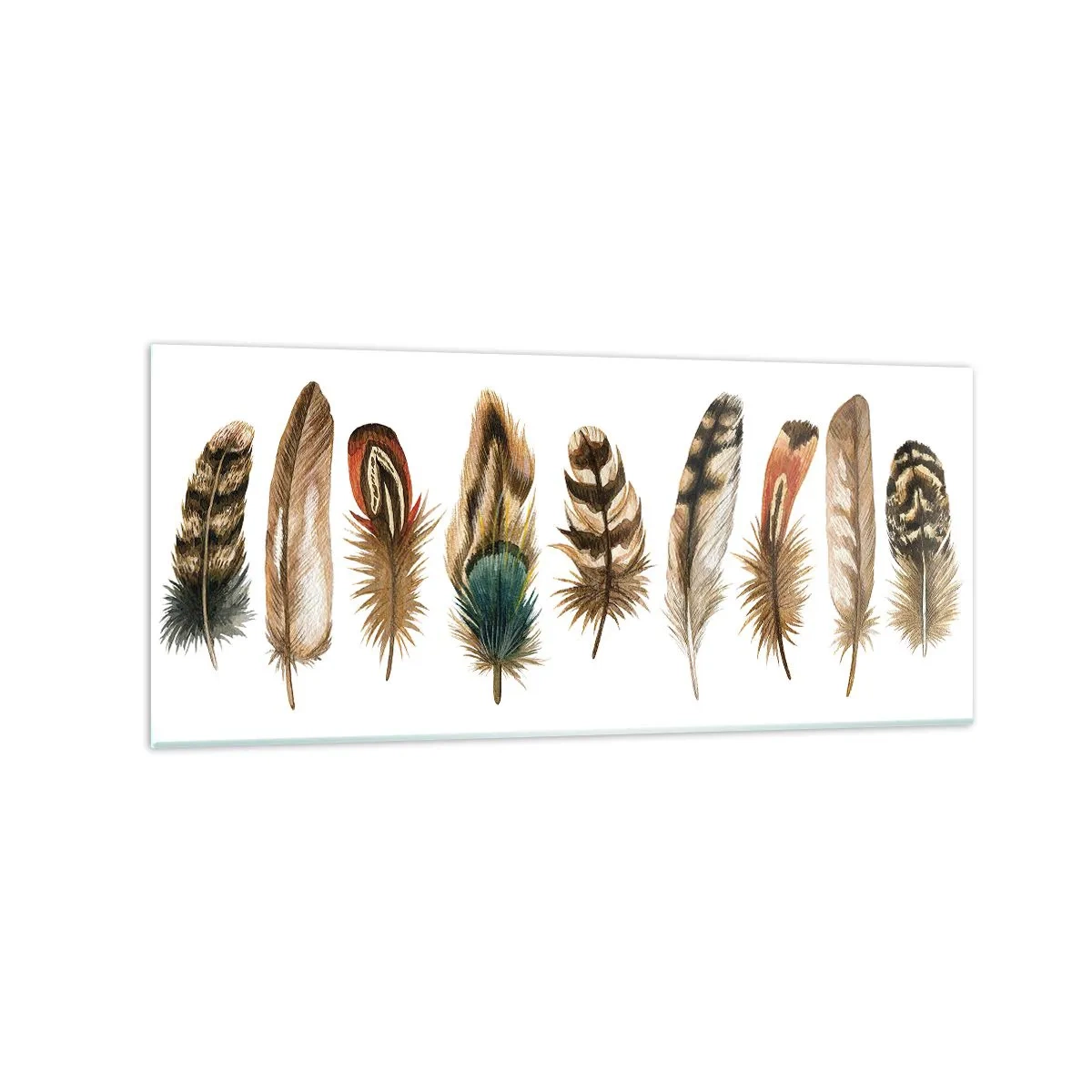 Cuadro sobre vidrio - Impresiones sobre Vidrio - Motivo decorativo de una colección de varias plumas. - 120x50cm - Estudio de plumas - Decoración de pared moderna para salón y dormitorio ARTTOR