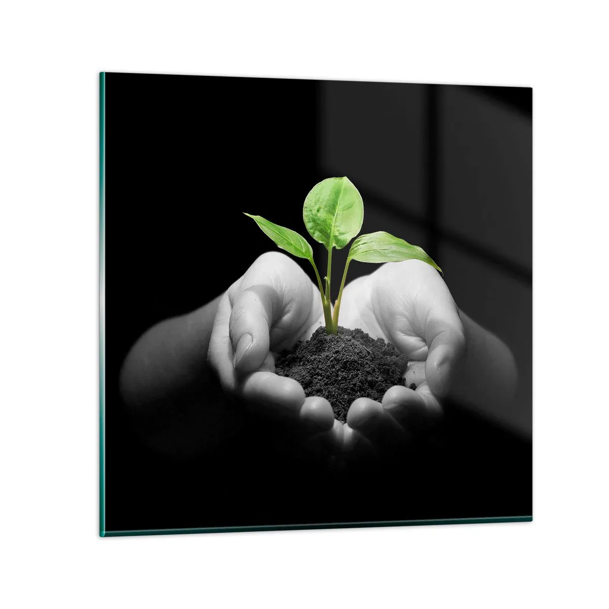 Cuadro sobre vidrio - Impresiones sobre Vidrio - Amo la naturaleza, la protejo - 50x50 cm