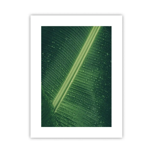 Póster - Estructura del verde - 30x40 cm