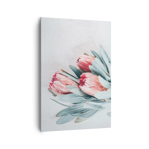 Cuadro sobre lienzo - Impresión de Imagen - Sutiles flores de protea rosa sobre un fondo claro. - 70x100cm - Avergonzada de su propia belleza - Decoración de pared moderna para salón y dormitorio ARTTOR