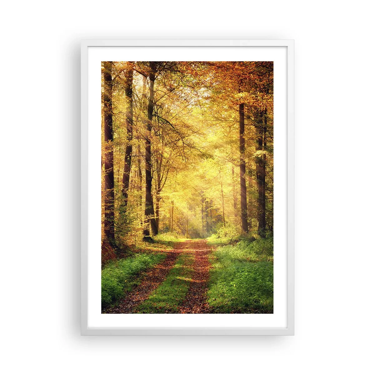 Póster en marco blanco - Silencio dorado del bosque - 50x70 cm