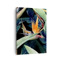 50x70 cm | Vertical