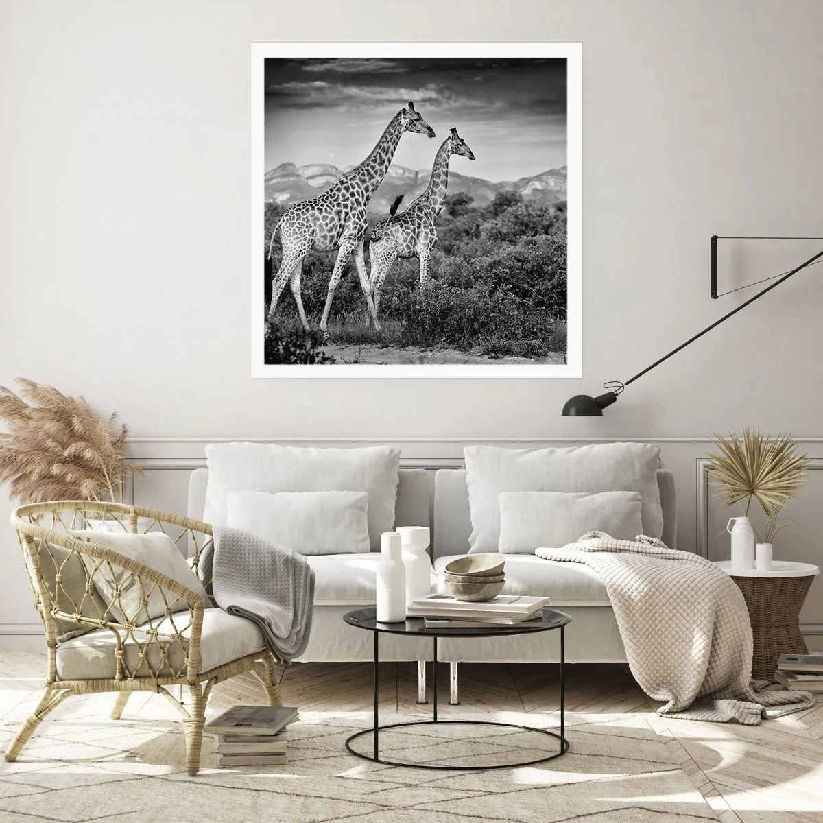 Póster - La clase alta de África - 60x60 cm