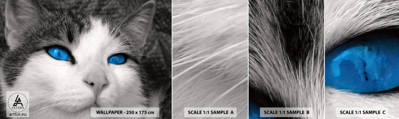 Muestra de fotomural autoadhesivo Deluxe Sticker - Inusual de ojos azules - animales, Gato, Ojos azules - 100x30 cm