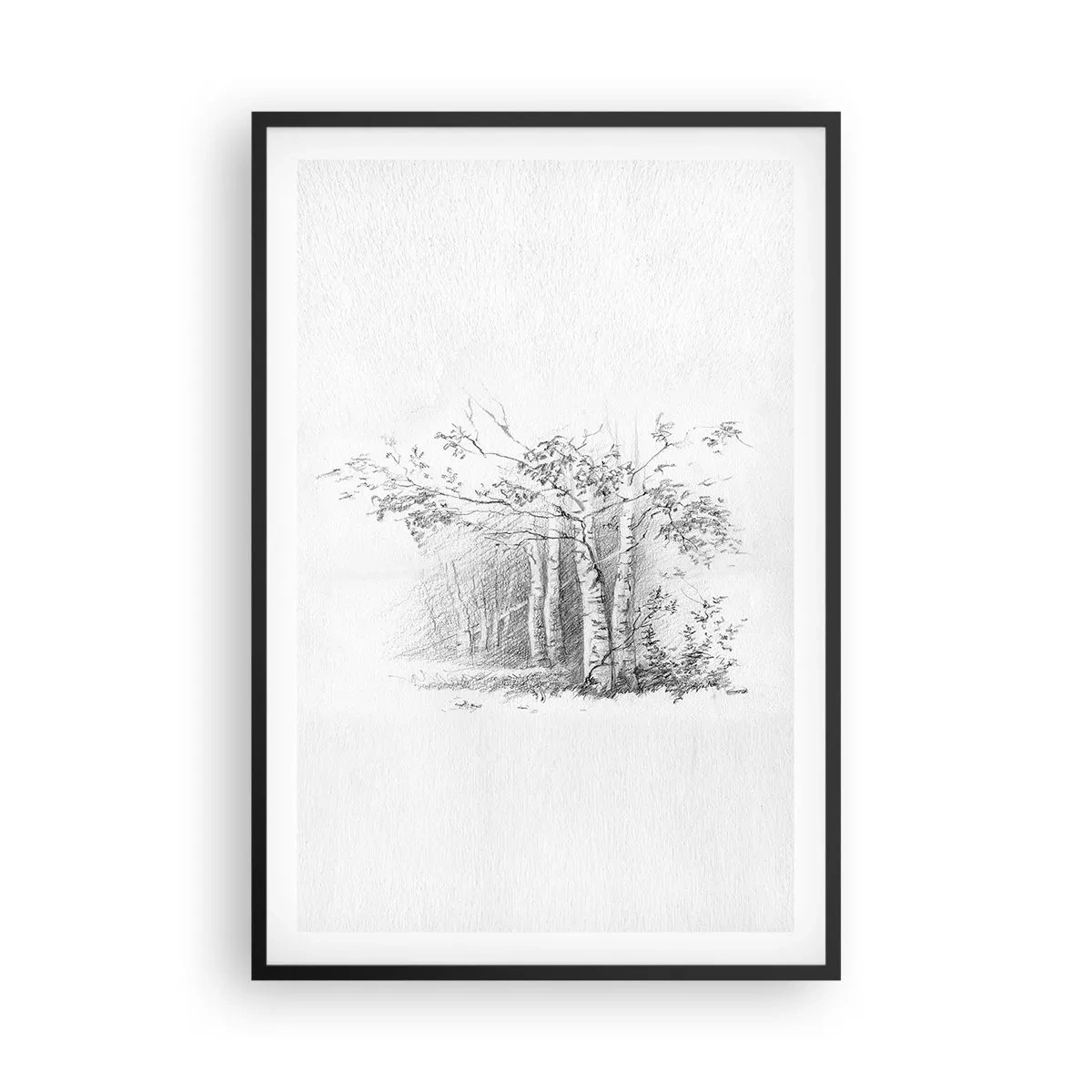 Póster en marco negro - La luz de un bosque de abedules - 61x91 cm