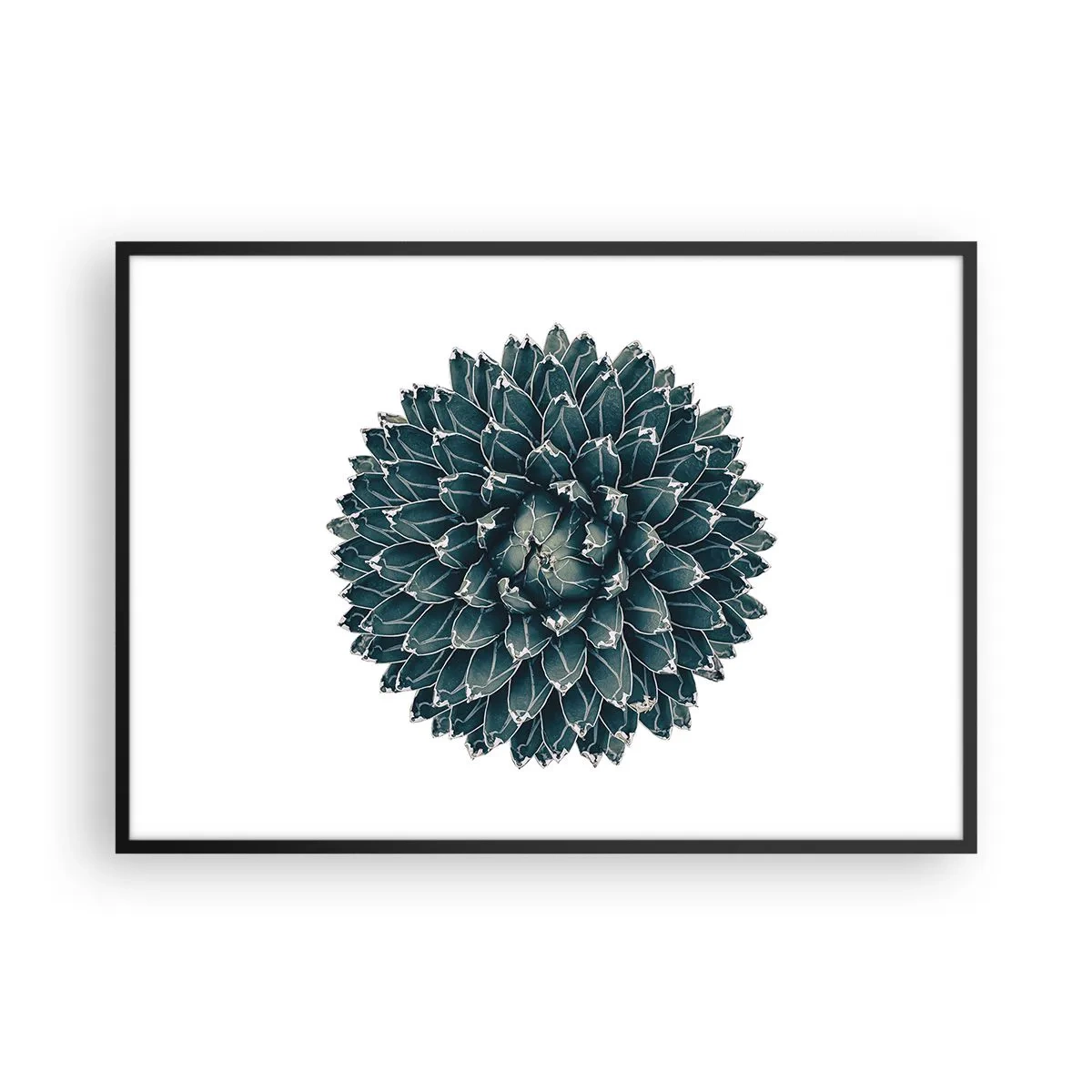 Póster en marco negro - Planta suculenta simétrica sobre un fondo blanco. - 100x70cm - Estrella del desierto - Decoración de pared moderna para salón y dormitorio ARTTOR