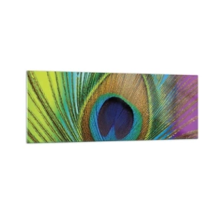 Cuadro sobre vidrio - Impresiones sobre Vidrio - Primer plano de una pluma de pavo real con colores vivos. - 140x50cm - Cara a cara - Decoración de pared moderna para salón y dormitorio ARTTOR