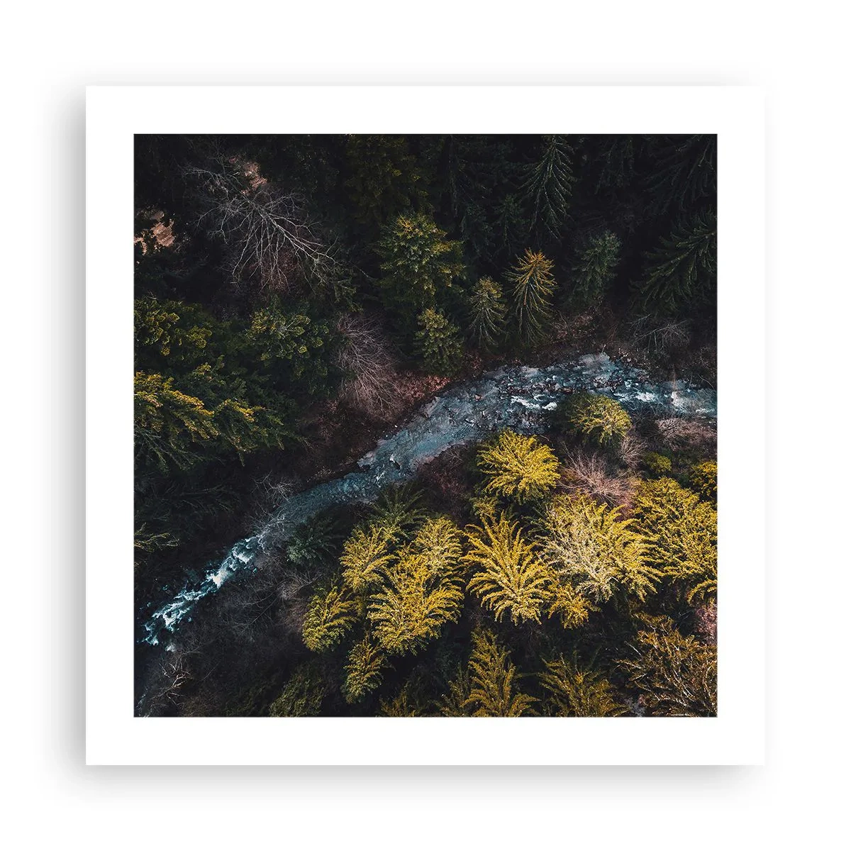 Póster - Rápido, cada vez más rápido - 50x50 cm