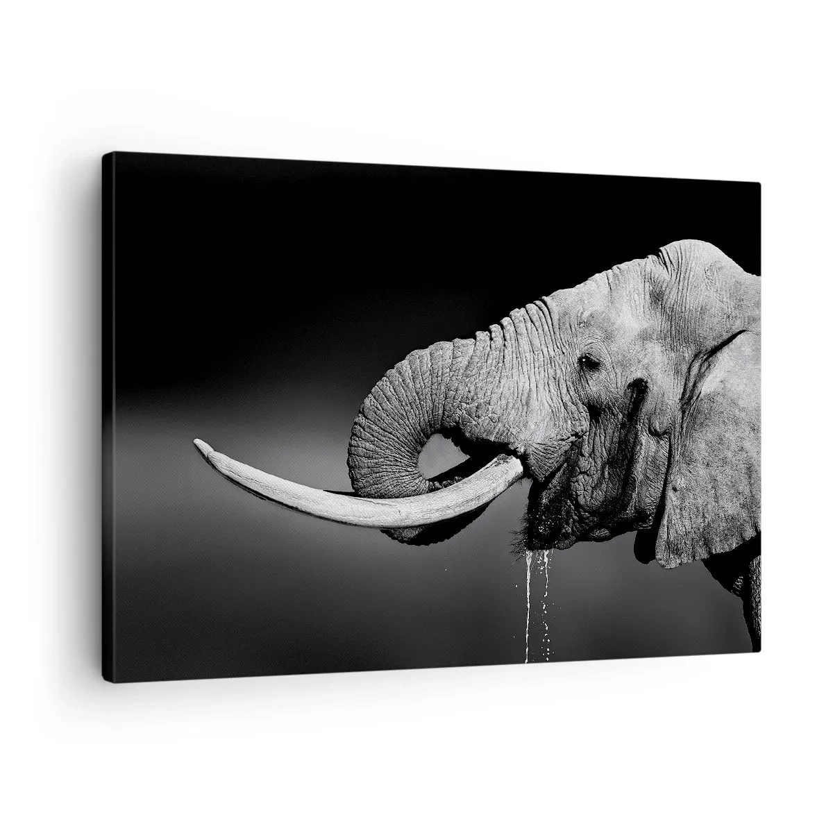 Cuadro sobre lienzo - Impresión de Imagen - Retrato en blanco y negro de un elefante de perfil. - 70x50cm - Majestuoso - Decoración de pared moderna para salón y dormitorio ARTTOR