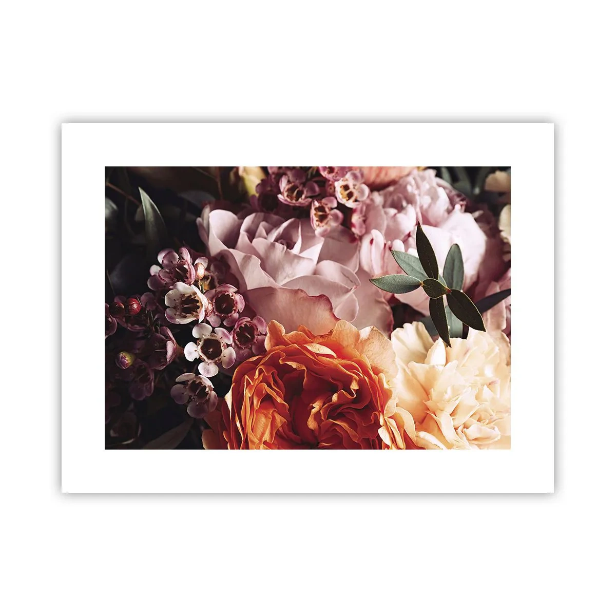 Póster - Belleza envolvente - 40x30 cm