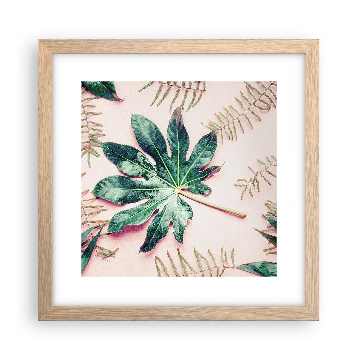 Póster en marco roble claro - Estudio de vegetación sobre fondo rosa - 30x30 cm