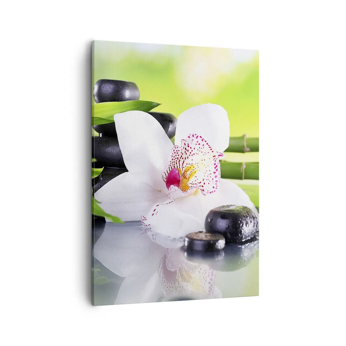 Cuadro sobre lienzo - Impresión de Imagen - Orquídea, piedras y bambú en una armoniosa composición de spa. - 50x70cm - Frescura - Decoración de pared moderna para salón y dormitorio ARTTOR