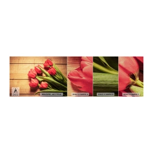 Muestra de fotomural Premium Sand - Una confesión primaveral - flores, tulipanes, Ramo de flores - 100x30 cm