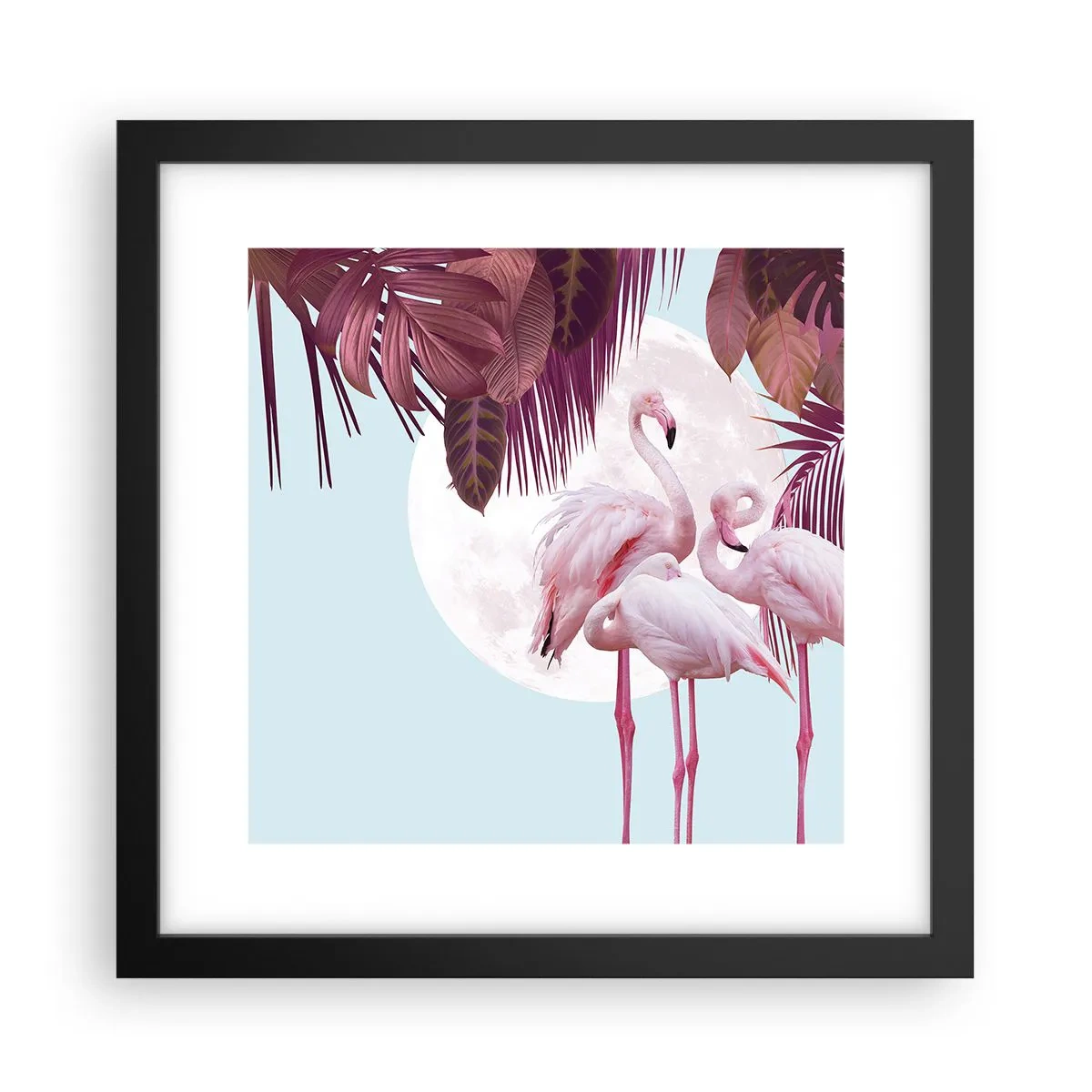 Póster en marco negro - La grandeza de las aves - 30x30 cm