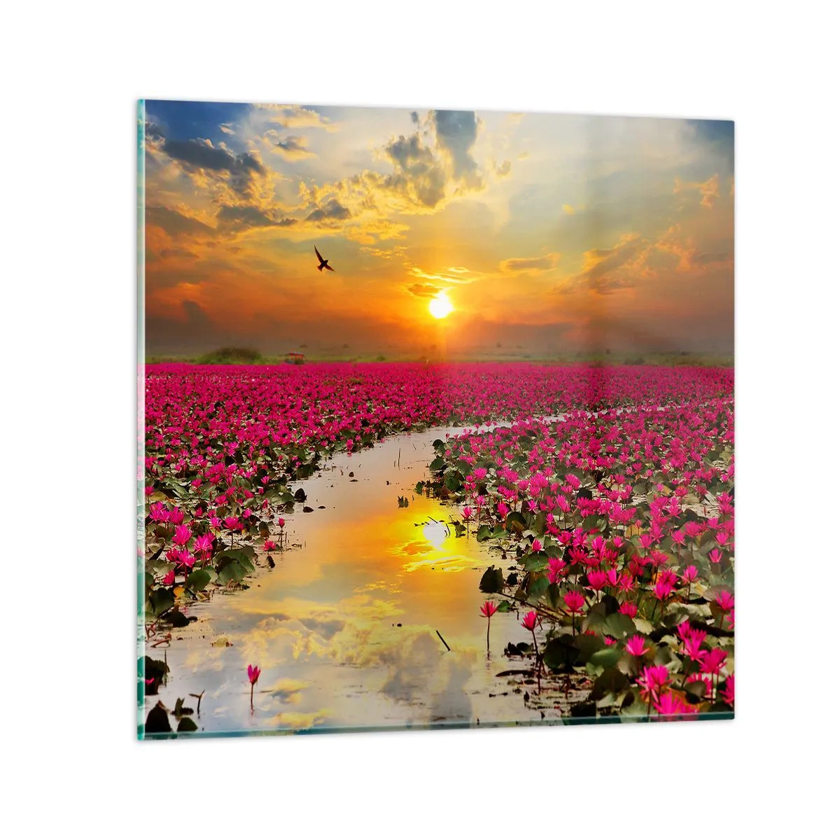 Cuadro sobre vidrio - Impresiones sobre Vidrio - La vida secreta del lago - 40x40 cm