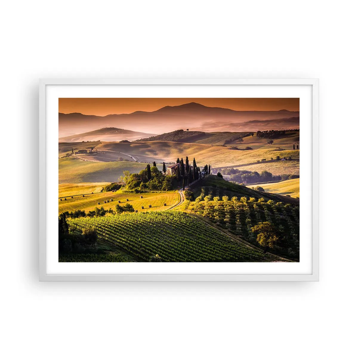 Póster en marco blanco - Paisaje toscano - 70x50 cm