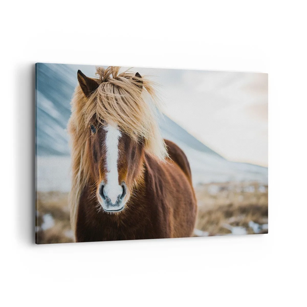 Cuadro sobre lienzo - Impresión de Imagen - Caballo islandés frente a un paisaje montañoso - 120x80cm - ¿Puedes sentir la libertad? - Decoración de pared moderna para salón y dormitorio ARTTOR