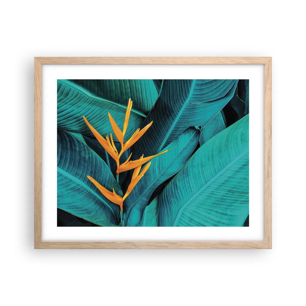 Póster en marco roble claro - Flor del Edén - 50x40 cm