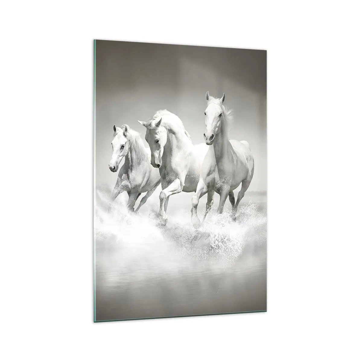 Cuadro sobre vidrio - Impresiones sobre Vidrio - Tres caballos blancos galopando por el agua - 70x100cm - Locura blanca - Decoración de pared moderna para salón y dormitorio ARTTOR