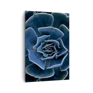 Cuadro sobre lienzo - Impresión de Imagen - Primer plano de una roseta suculenta verde - 70x100cm - Flor del desierto - Decoración de pared moderna para salón y dormitorio ARTTOR