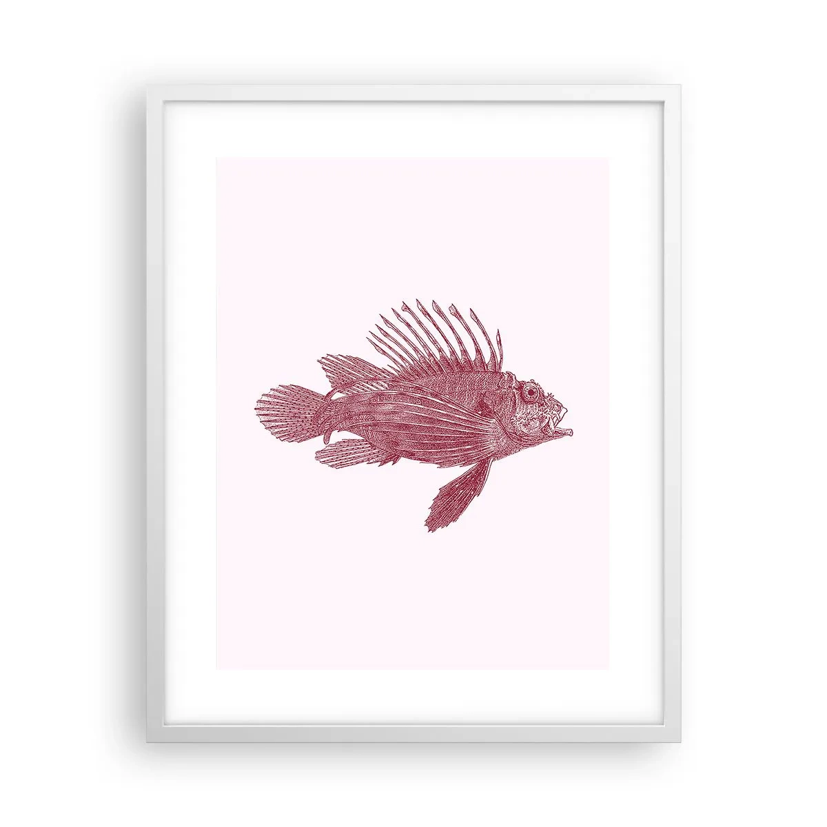 Póster en marco blanco - Un habitante de aguas exóticas - 40x50 cm