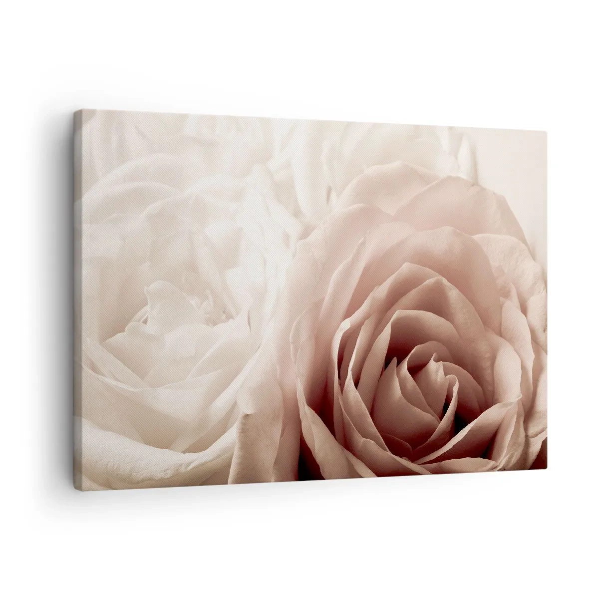 Cuadro sobre lienzo - Impresión de Imagen - Delicadas rosas en tonos pastel beige. - 70x50cm - En el corazón de una rosa - Decoración de pared moderna para salón y dormitorio ARTTOR