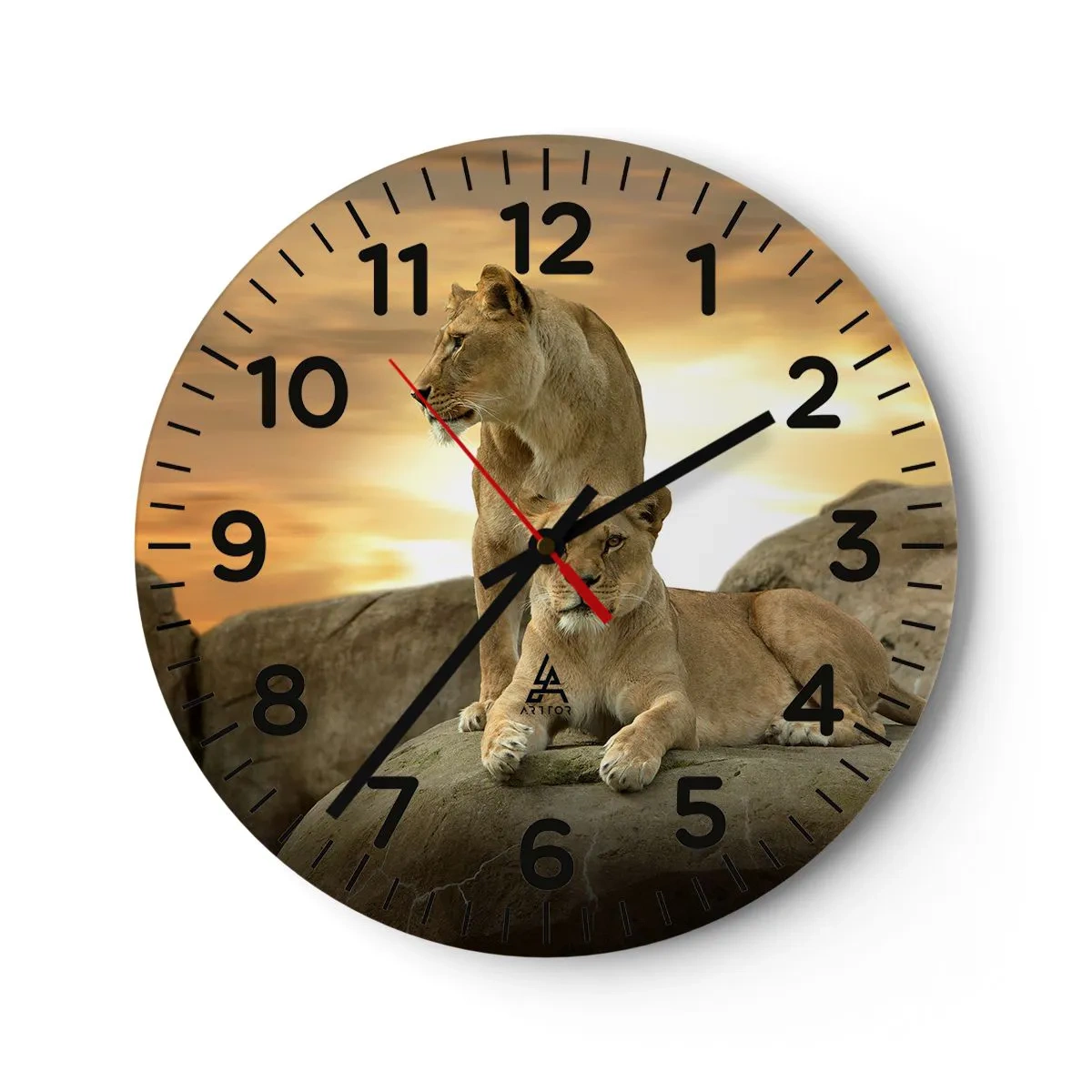Reloj de pared - Reloj de vidrio - Majestuosidad real - 30x30 cm