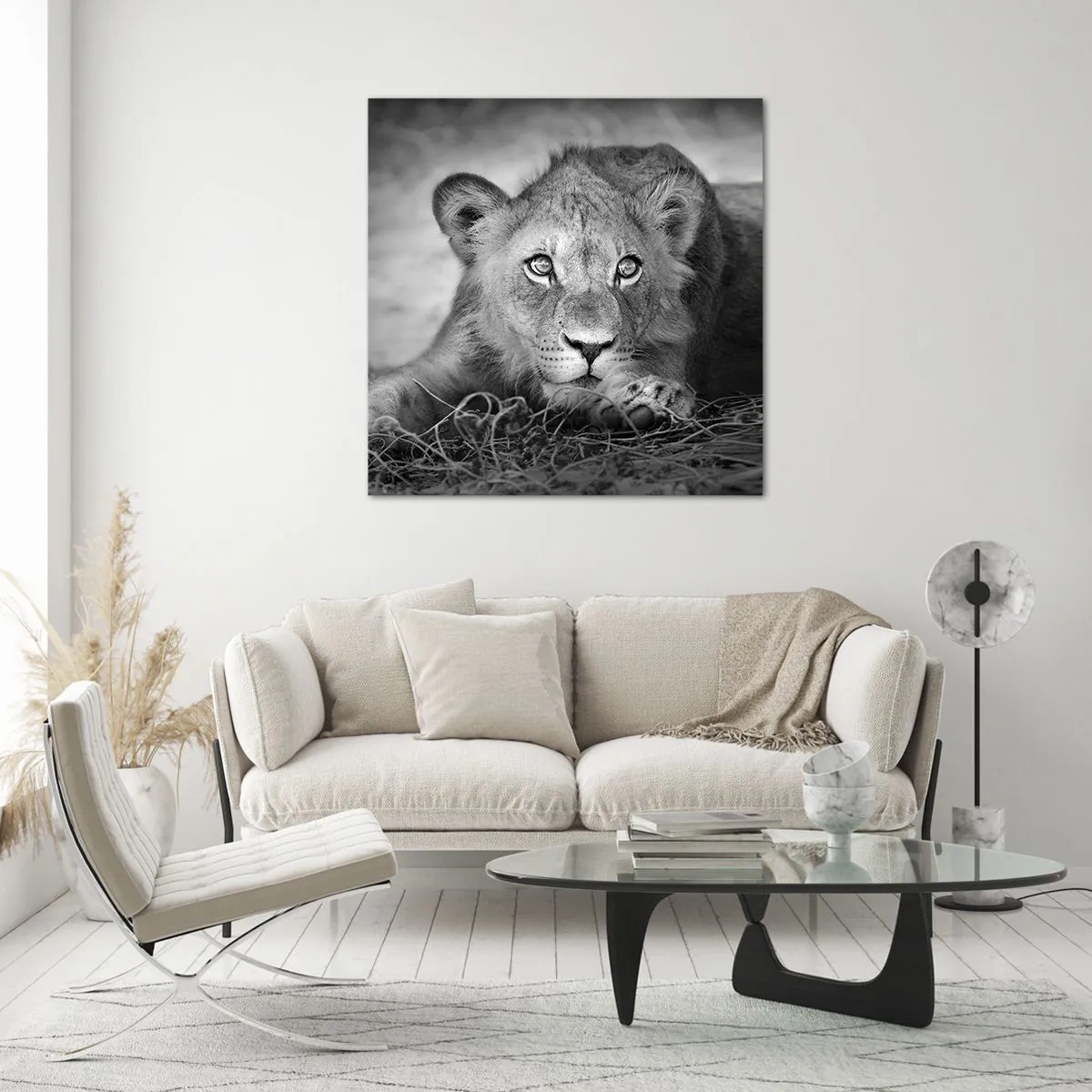 Cuadro sobre vidrio - Impresiones sobre Vidrio - Un cachorro real - 40x40 cm