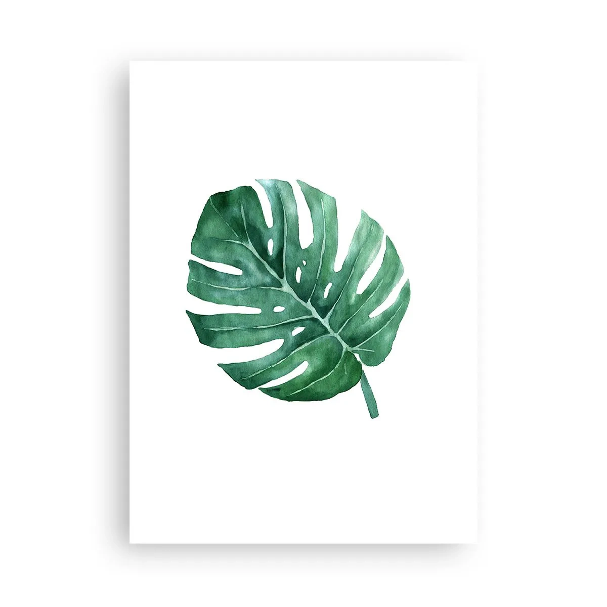 Póster - Ilustración en acuarela de una hoja de monstera sobre un fondo blanco. - 50x70cm - Concepto verde - Decoración de pared moderna para salón y dormitorio ARTTOR