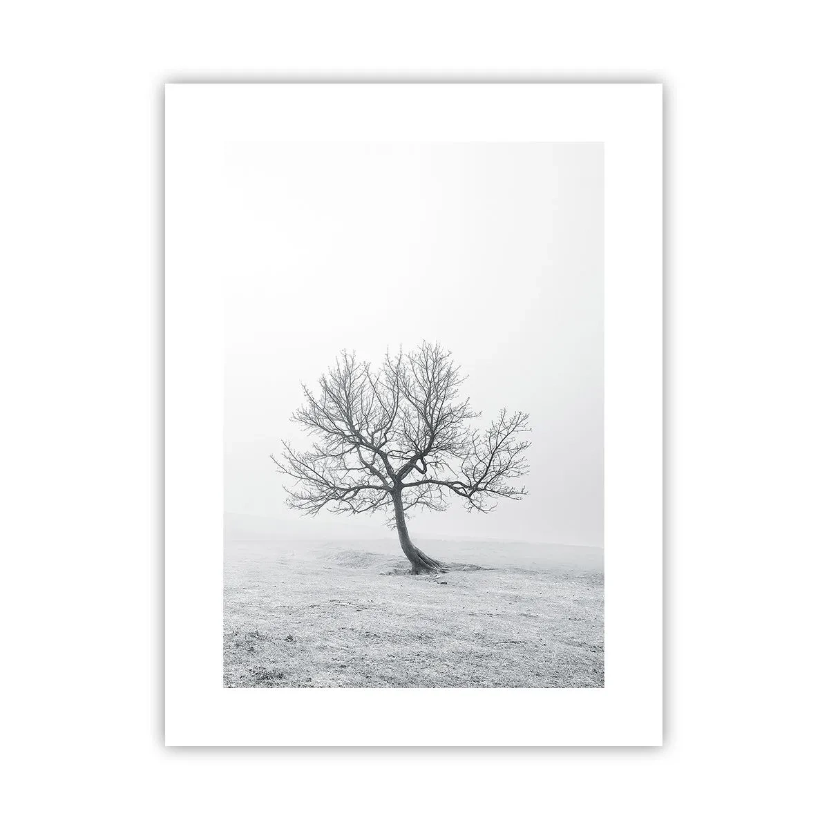 Póster - Contra la nada - 30x40 cm