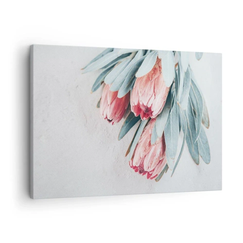 Cuadro sobre lienzo - Impresión de Imagen - Sutiles flores de protea rosa sobre un fondo claro. - 70x50cm - Avergonzada de su propia belleza - Decoración de pared moderna para salón y dormitorio ARTTOR
