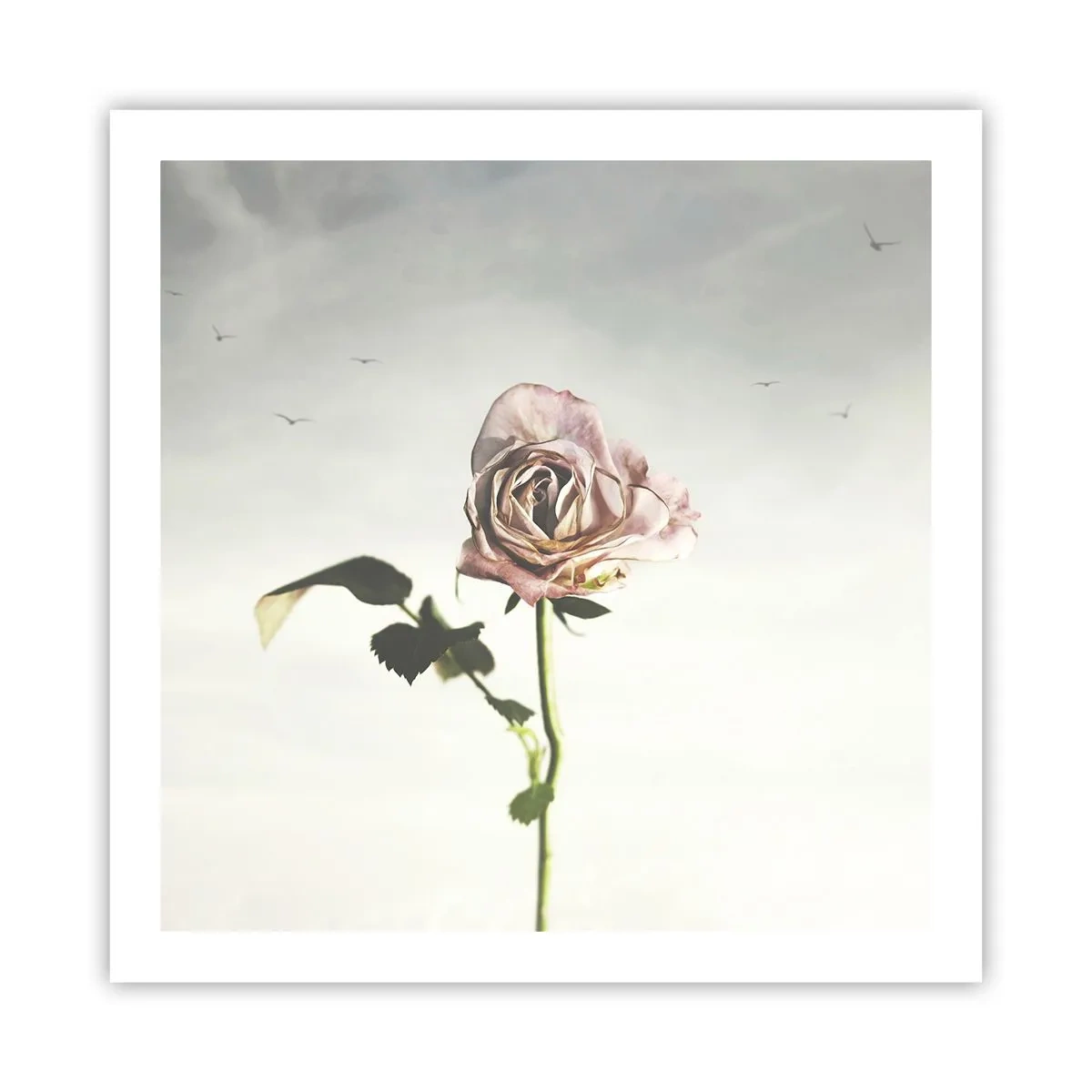 Póster - Bienvenida a la primavera - 60x60 cm
