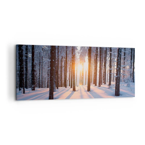 Cuadro sobre lienzo - Impresión de Imagen - Bosque invernal iluminado por los rayos del sol. - 120x50cm - Claramente en blanco y negro - Decoración de pared moderna para salón y dormitorio ARTTOR