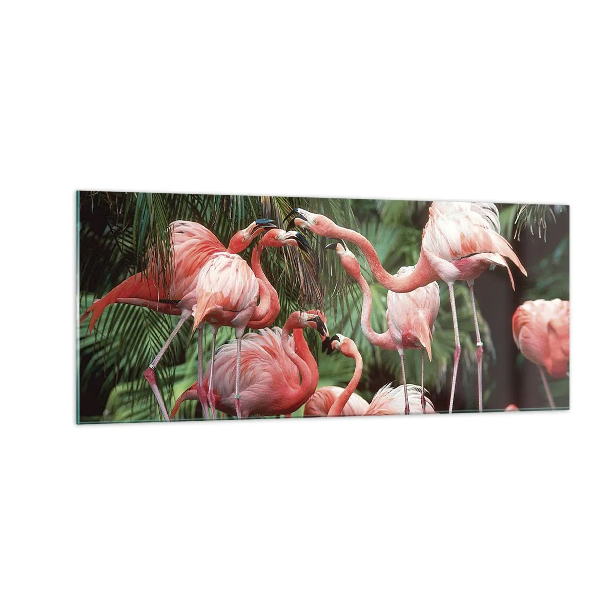 Cuadro sobre vidrio - Impresiones sobre Vidrio - Cotilleos de la tarde - 100x40 cm