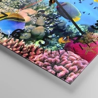 Esfera con numeración