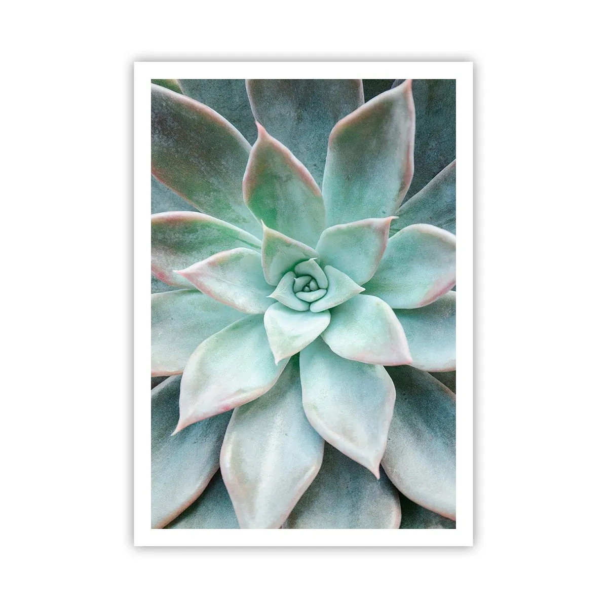 Póster - El corazón del desierto - 70x100 cm