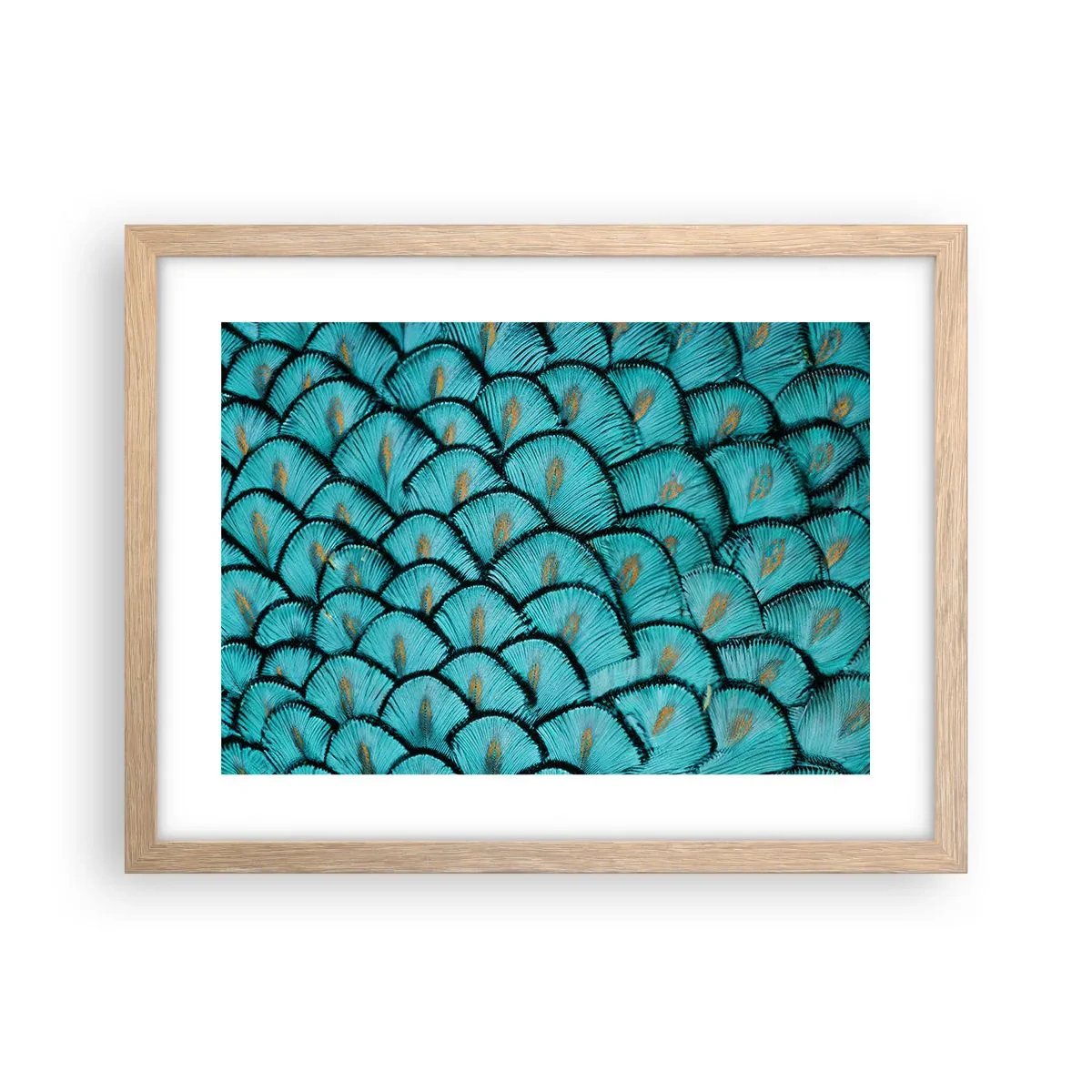 Póster en marco roble claro - La gran gala de las plumas - 40x30 cm