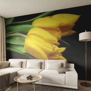 Fotomural Standard Eco - Tulipanes amarillos sobre fondo negro - 100x70cm - Resucitado de puro sol - Decoración de pared moderna para salón y dormitorio ARTTOR