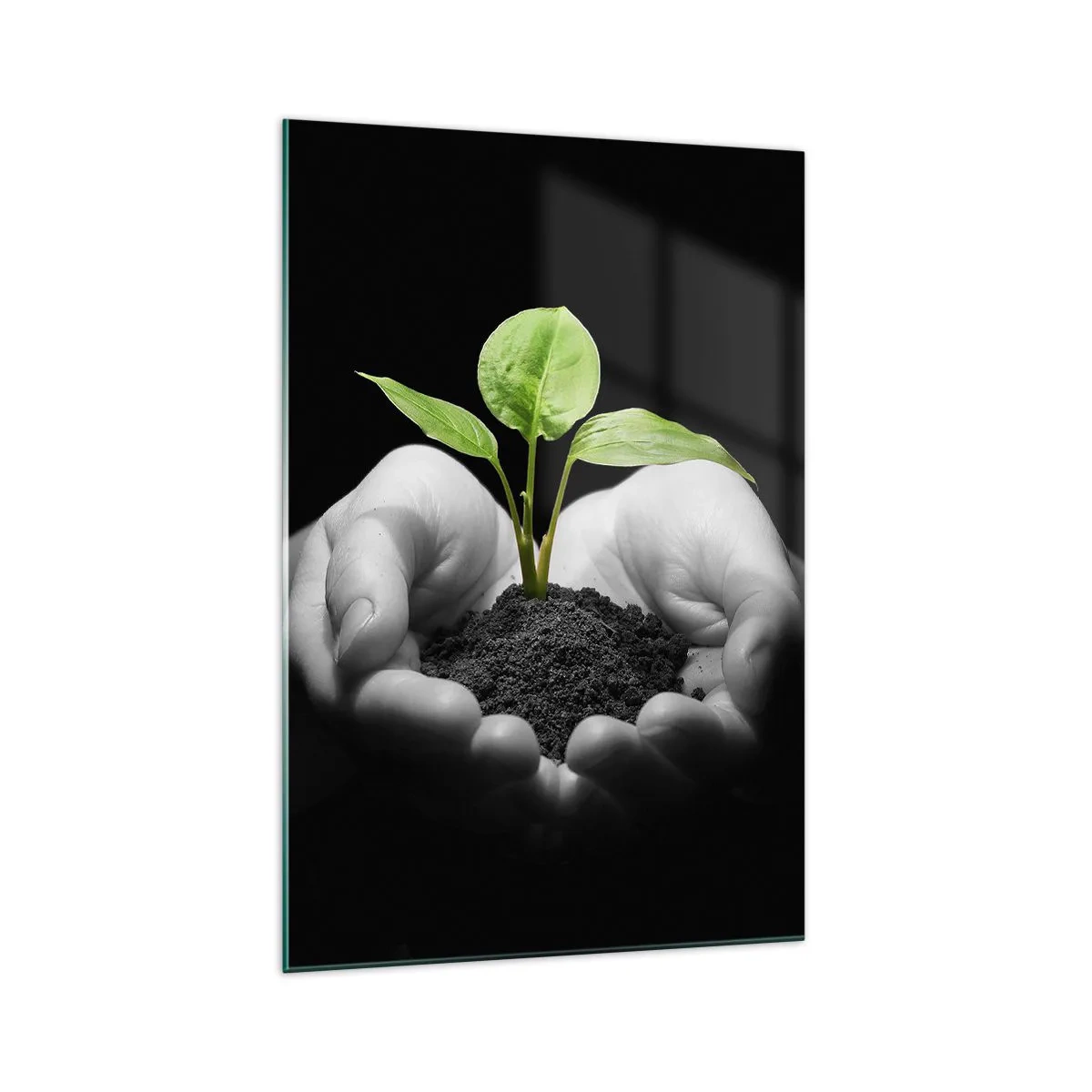 Cuadro sobre vidrio - Impresiones sobre Vidrio - Manos sosteniendo una planta verde sobre un fondo negro - 70x100cm - Amo la naturaleza, la protejo - Decoración de pared moderna para salón y dormitorio ARTTOR