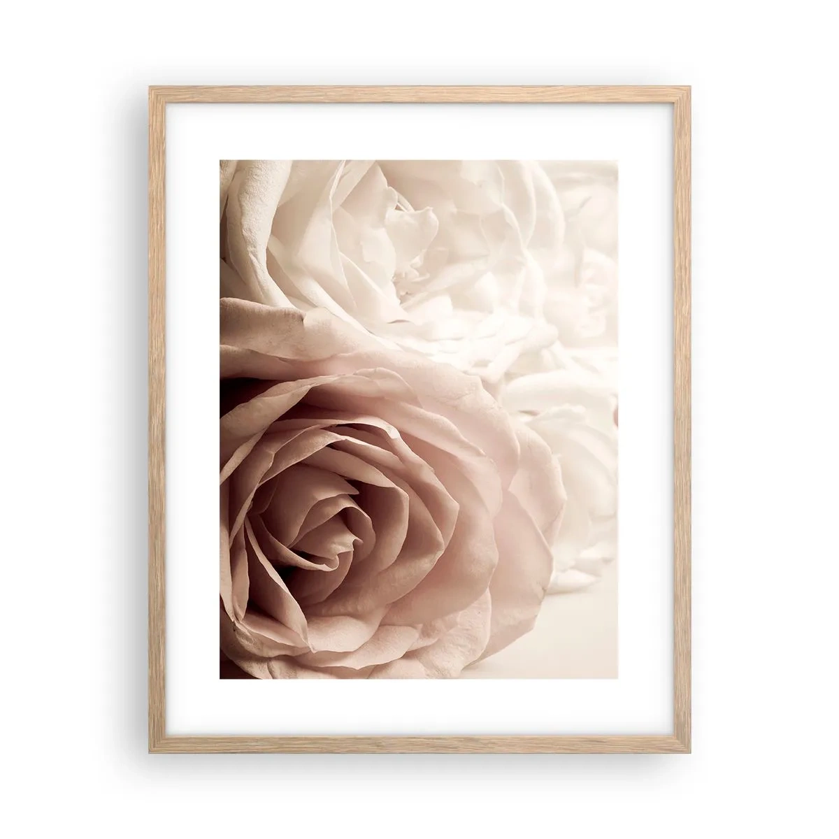 Póster en marco roble claro - En el corazón de una rosa - 40x50 cm