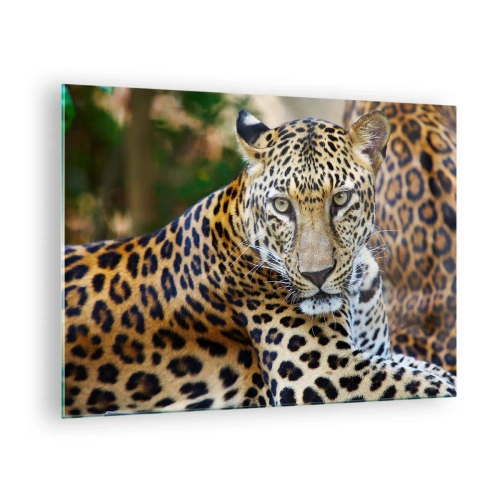 Cuadro sobre vidrio - Impresiones sobre Vidrio - Un leopardo salvaje descansando entre la vegetación. - 70x50cm - Salvaje y tranquilo - Decoración de pared moderna para salón y dormitorio ARTTOR