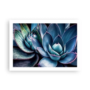 Póster - Fuerza vital - 70x50 cm