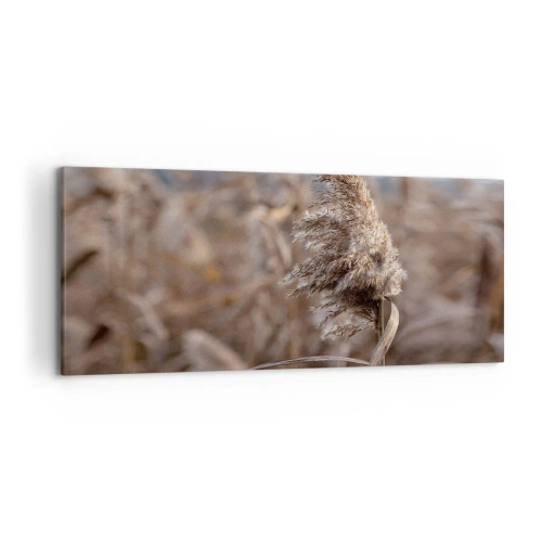 Cuadro sobre lienzo - Impresión de Imagen - Delicadas hierbas en tonos beige sobre el fondo de la naturaleza. - 120x50cm - Es hora de volar con el viento - Decoración de pared moderna para salón y dormitorio ARTTOR