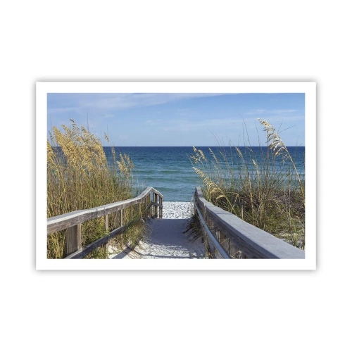 Póster - En el sol, en el viento - 91x61 cm