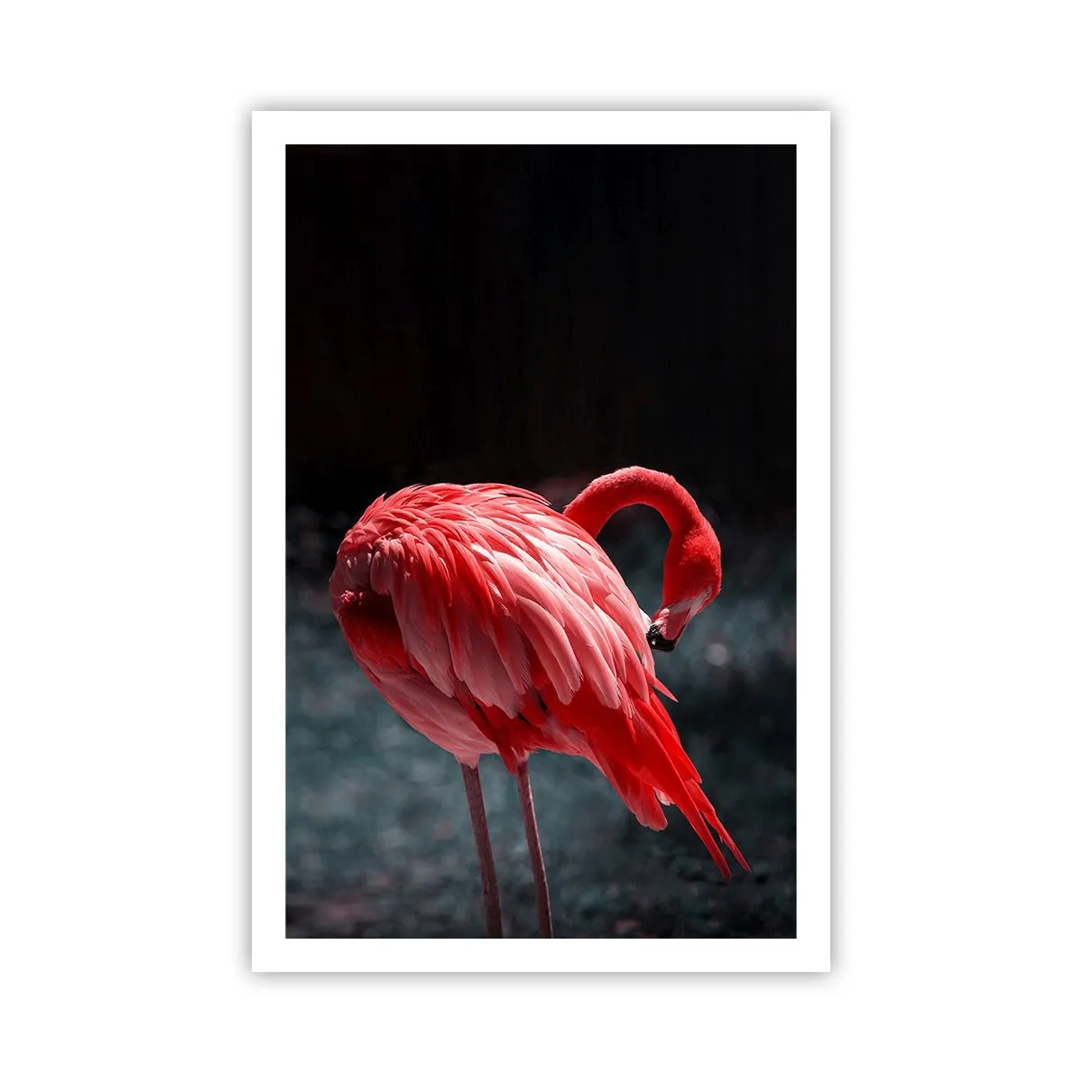Póster - Un poema carmesí de la naturaleza - 61x91 cm