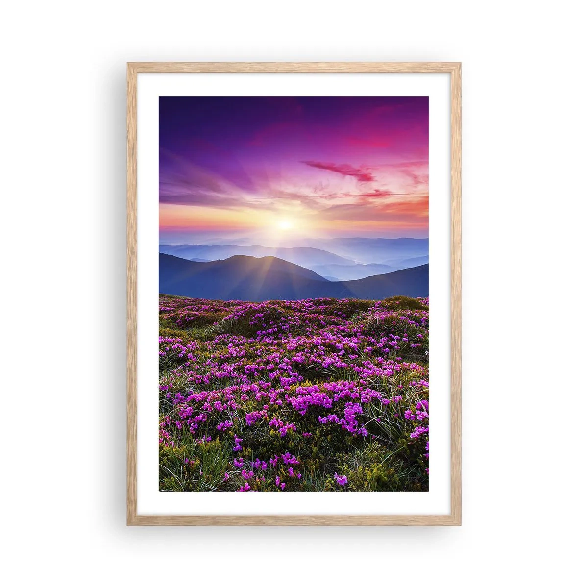 Póster en marco roble claro - Dulce aroma a frescura - 50x70 cm