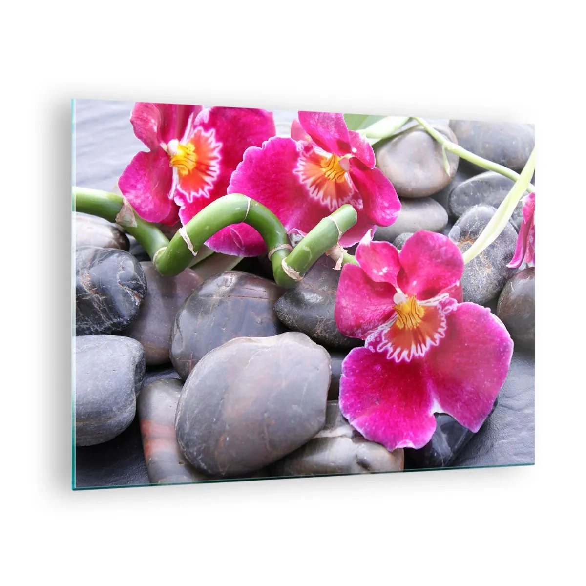 Cuadro sobre vidrio - Impresiones sobre Vidrio - Orquídeas rosas con bambú sobre piedras. - 70x50cm - Frío y calor - Decoración de pared moderna para salón y dormitorio ARTTOR