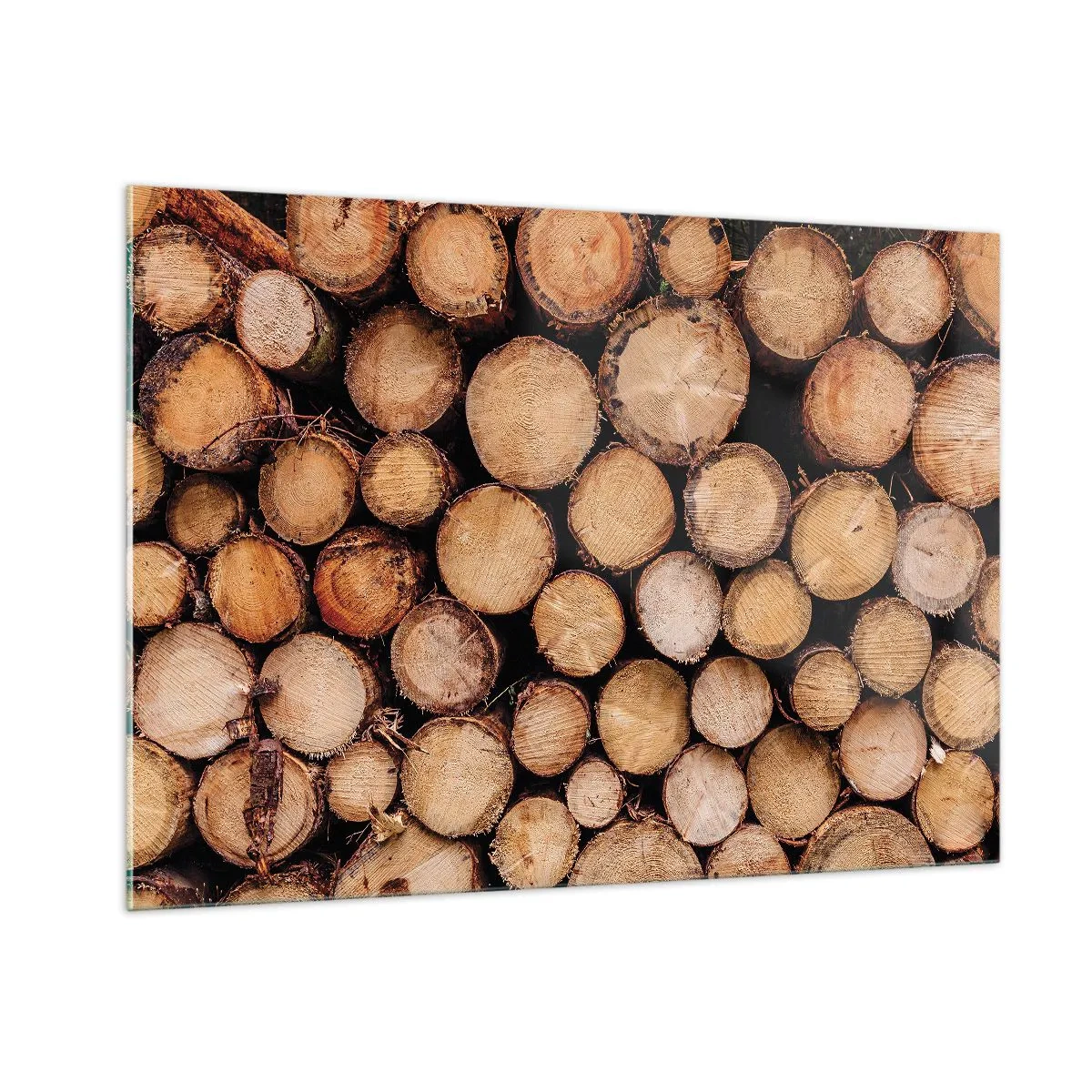 Cuadro sobre vidrio - Impresiones sobre Vidrio - Troncos de árboles dispuestos verticalmente con anillos de crecimiento visibles - 100x70cm - Un nuevo comienzo - Decoración de pared moderna para salón y dormitorio ARTTOR