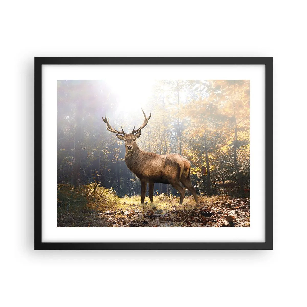 Póster en marco negro - Con toda la majestuosidad - 50x40 cm